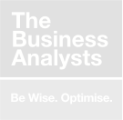 The Business Analysts